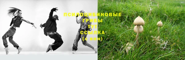 стаф Армянск