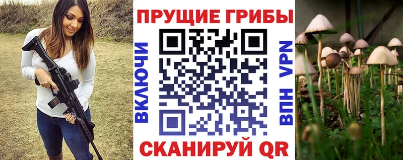 Галлюциногенные грибы Psilocybine cubensis  купить   Кяхта 